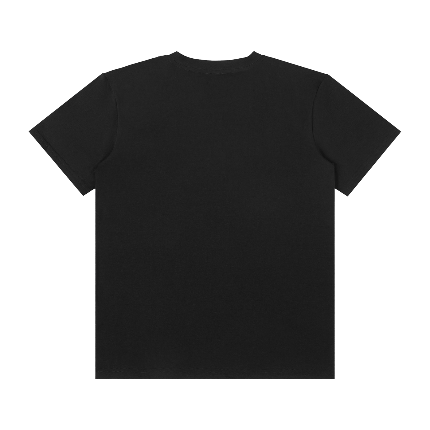 Classic Lion Flag Black T-Shirt