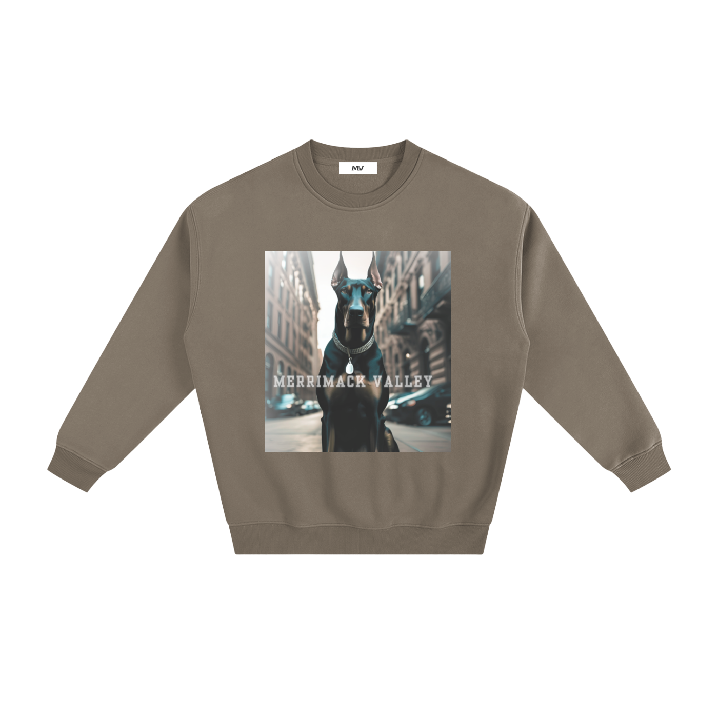 Fleeced Sweatshirt