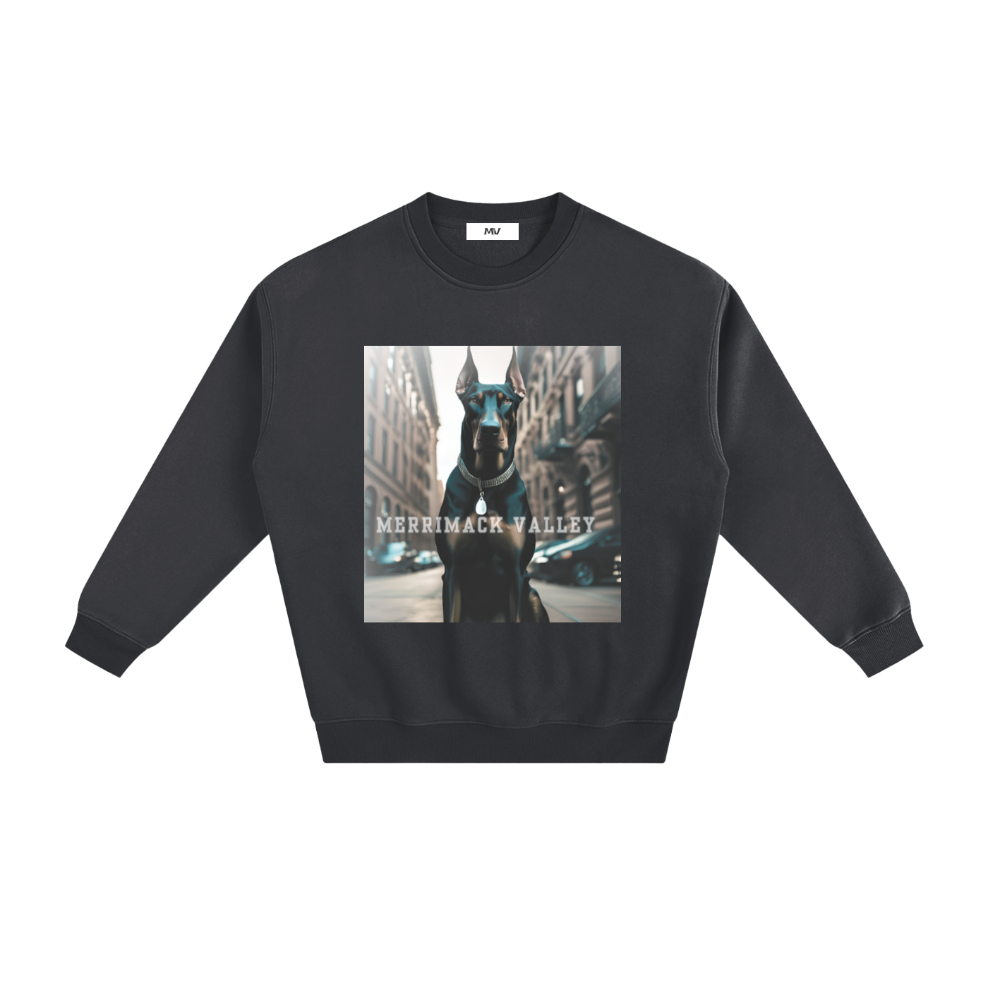 Fleeced Sweatshirt