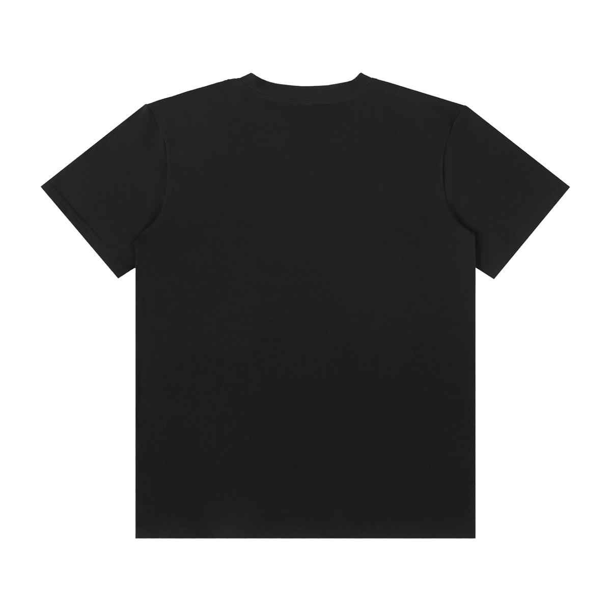 Classic Lion Flag Black T-Shirt