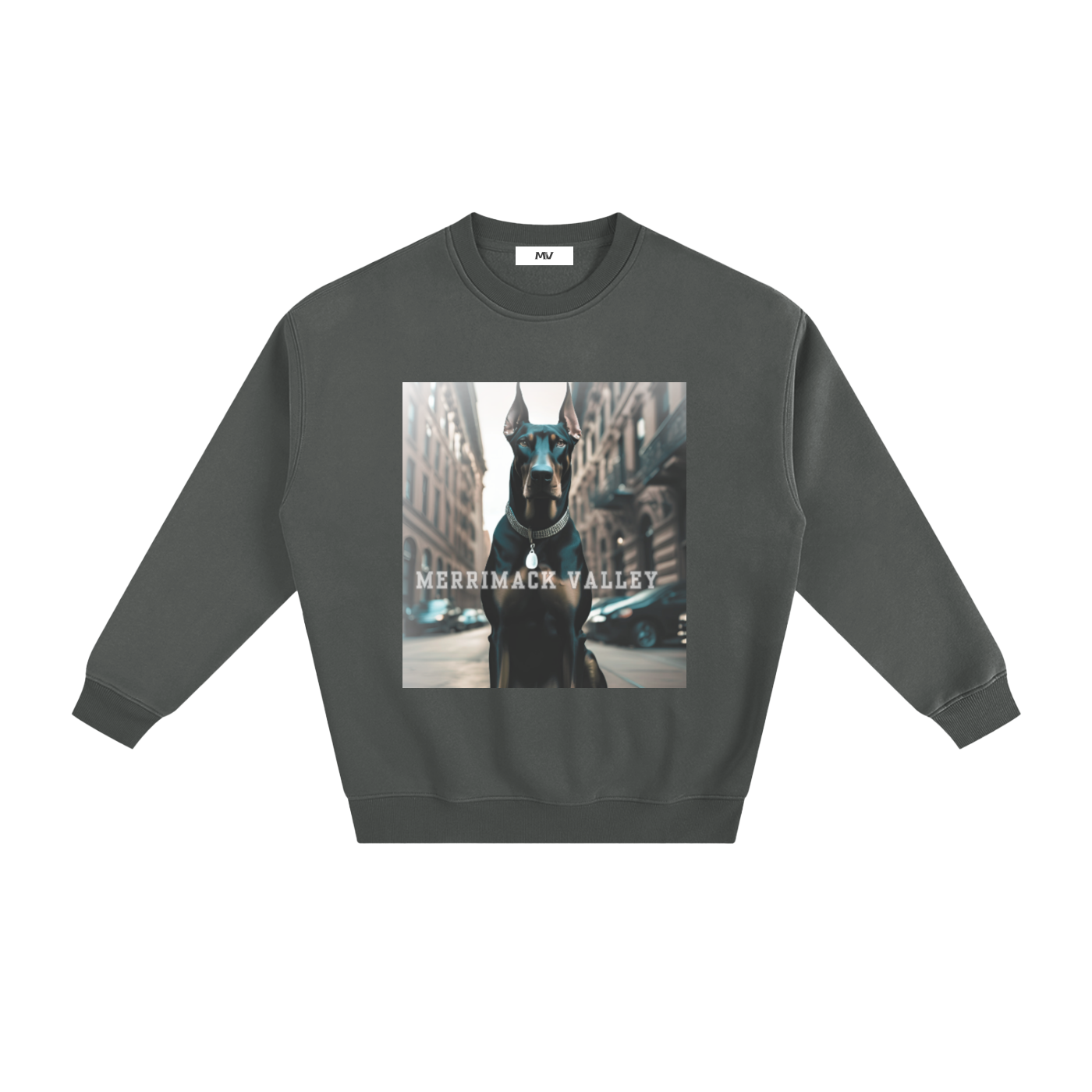 Fleeced Sweatshirt